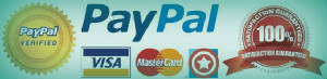 paypal-visa-logo2-2-2.jpg