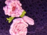 sohaylaflower.jpg